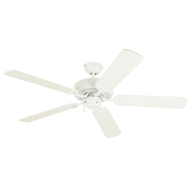 Ceiling Fans & Accessories