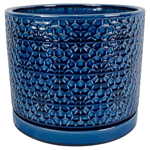 Ceramic & Porcelain Plant