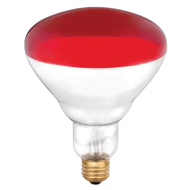 General Service Bulbs