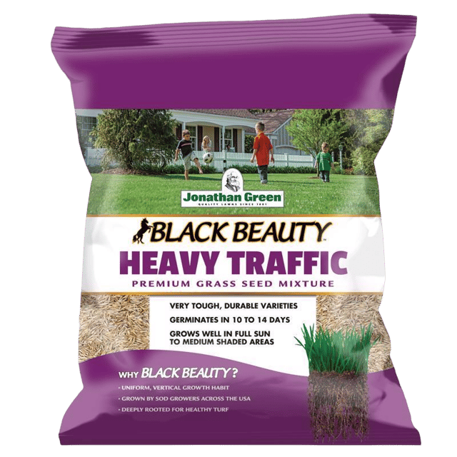Grass Seed