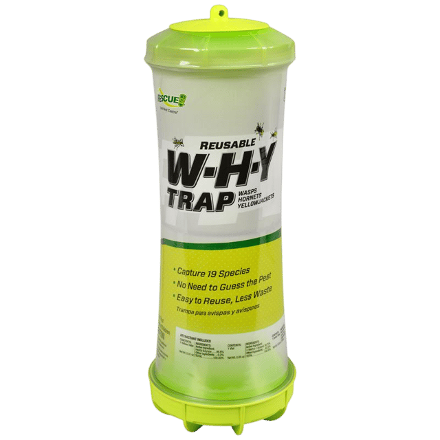 Insect Baits & Traps