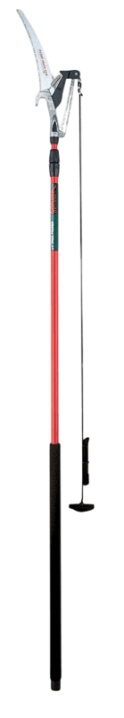 Tree Pruner