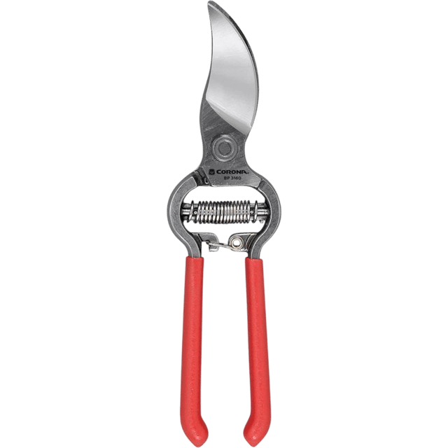 Pruning Shears
