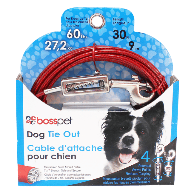 Chain / Cable / Stakes