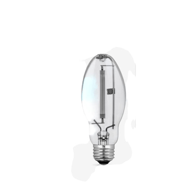 Security Bulbs