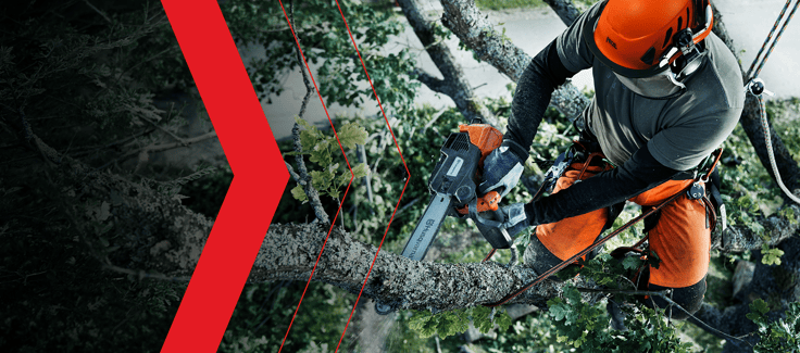 Arborist