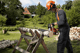 Husqvarna 967861816 135 Mark II 16" 38cc Gas Chainsaw - Image 2
