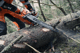 Husqvarna 966733111 572 XP   28" 70.7cc Professional Gas Chainsaw - Image 4