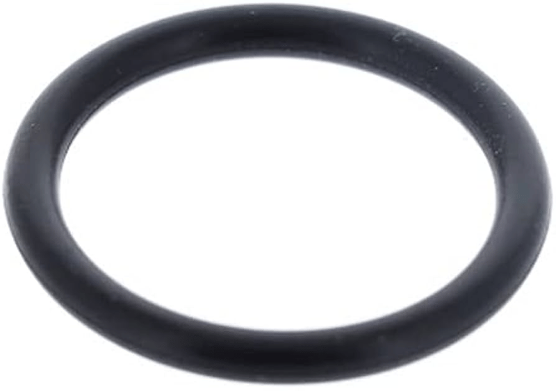 Honda 16173-001-004 O-Ring