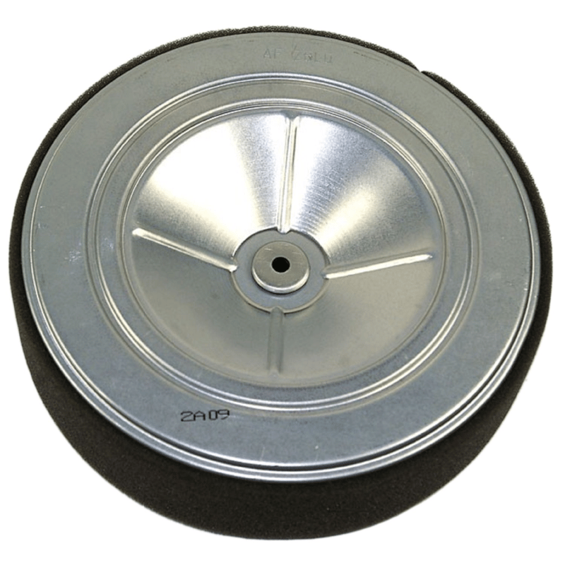 Honda 17210-Z6L-010 Element, Air Cleaner