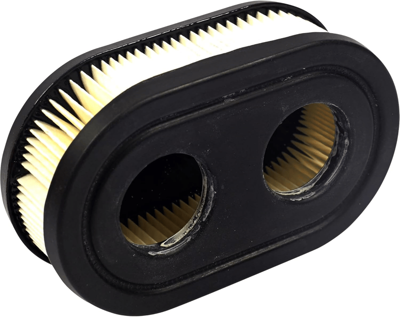 Briggs & Stratton 1697099 Single Stage 618
