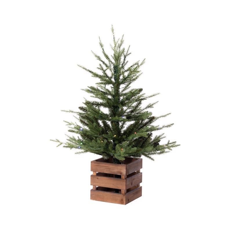 Celebrations 24-01048A 3 ft. Full LED 50 ct Fraser Fir w/ Wood Box Color Changing Entrance Tree