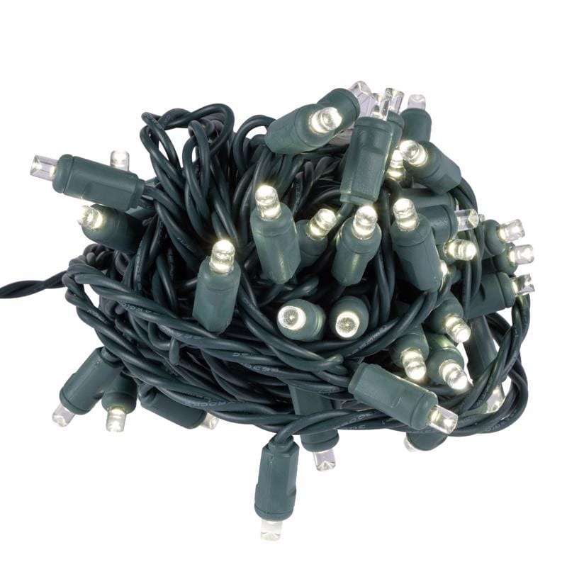 Celebrations 11-01157A LED Grand Mini Pure White 50 ct String Christmas Lights 25 ft.