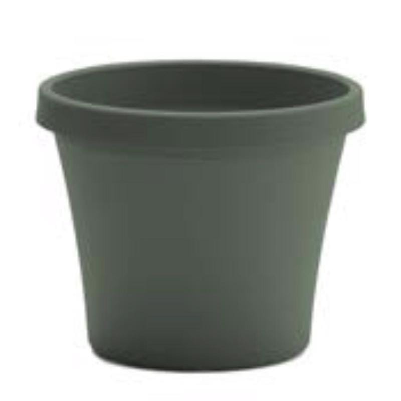 Bloem TR0841 Terra 7.25 in. H X 8.75 in. W X 6 in. D Plastic Traditional Planter Basil