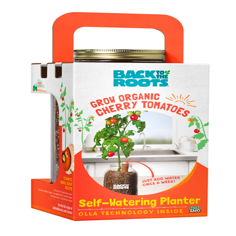 Back to the Roots 25100 Cherry Tomato Grow Kit 1 pk