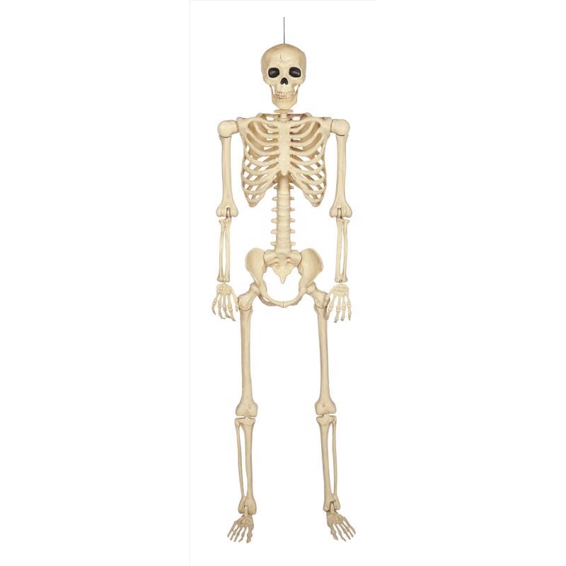 Seasons Usa W85619 Seasons 60 in. Skeleton Halloween Decor