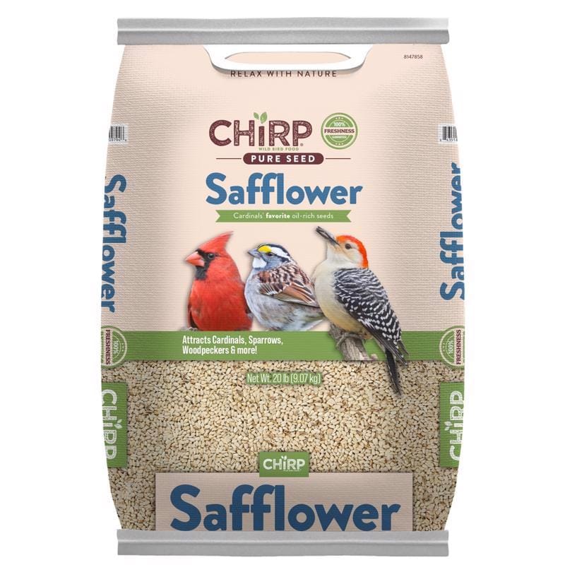 Chirp 17383 Pure Seed Safflower Seeds Wild Bird Food 20 lb