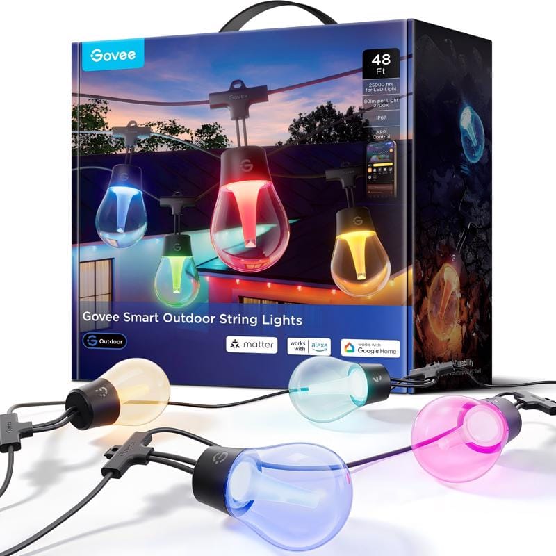 Govee H8025AB1 LED Modern Smart-Enabled Color Changing String Lights Clear 48 ft. 15 lights