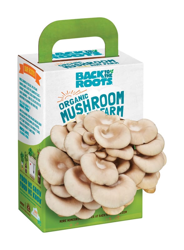 Back to the Roots 1200100 Mushroom Mini Farm 1 pk