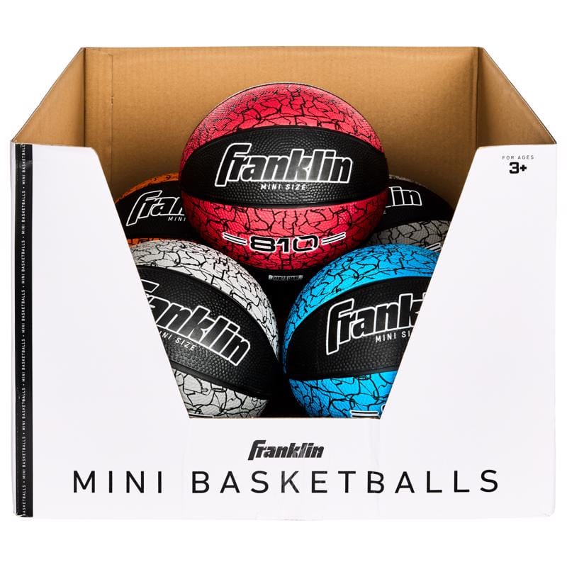 Franklin 32105 Assorted Basketball