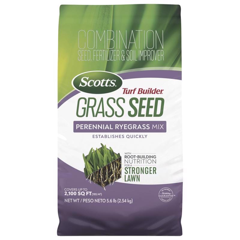 Scotts 18039C Turf Builder Perennial Ryegrass Sun or Shade Fertilizer/Seed/Soil Improver 5.6 lb