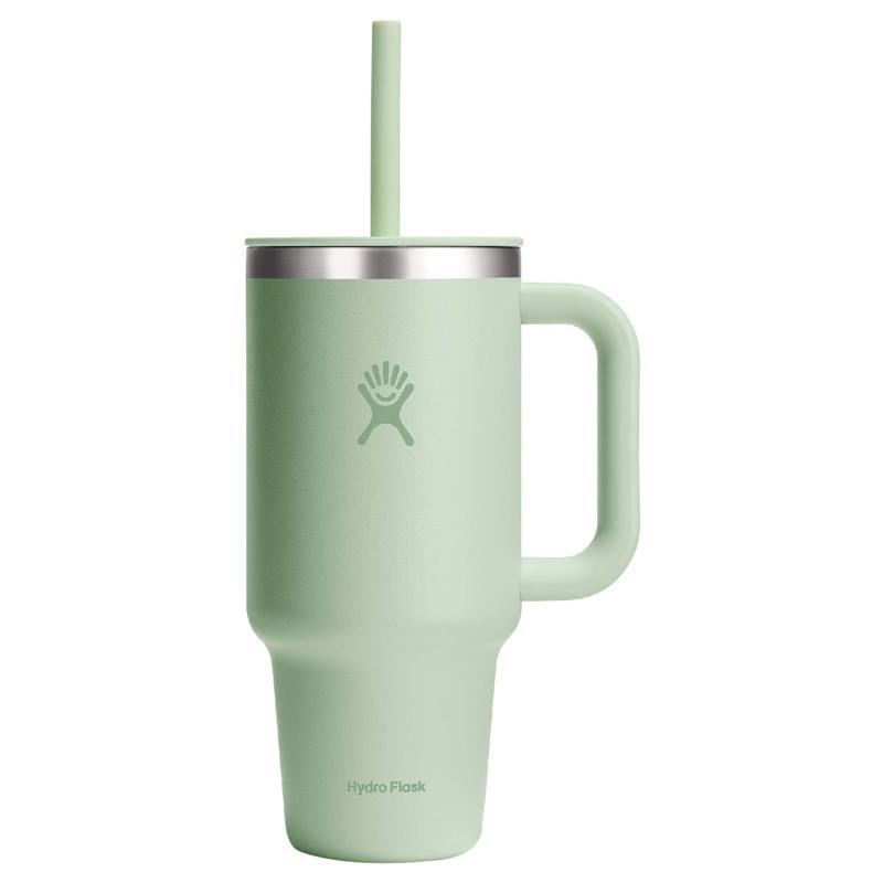Hydroflask T20PSC338 All Around 20 fl. oz. Aloe BPA Free Tumbler with Straw Lid