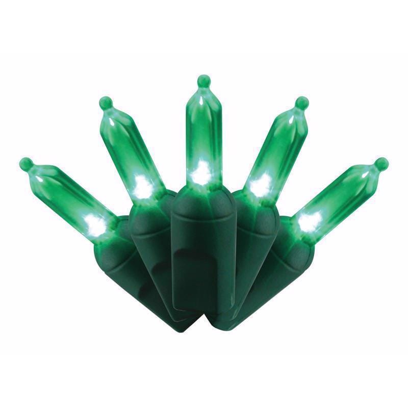 Celebrations T550GR6A Platinum LED T5 Green 50 ct String Christmas Lights 25 ft.