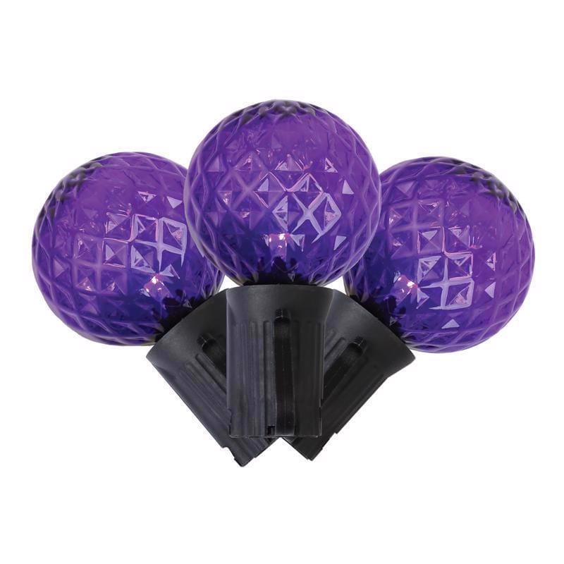 Celebrations G4025PL8A Purple 25 ct LED G40 Halloween String Lights