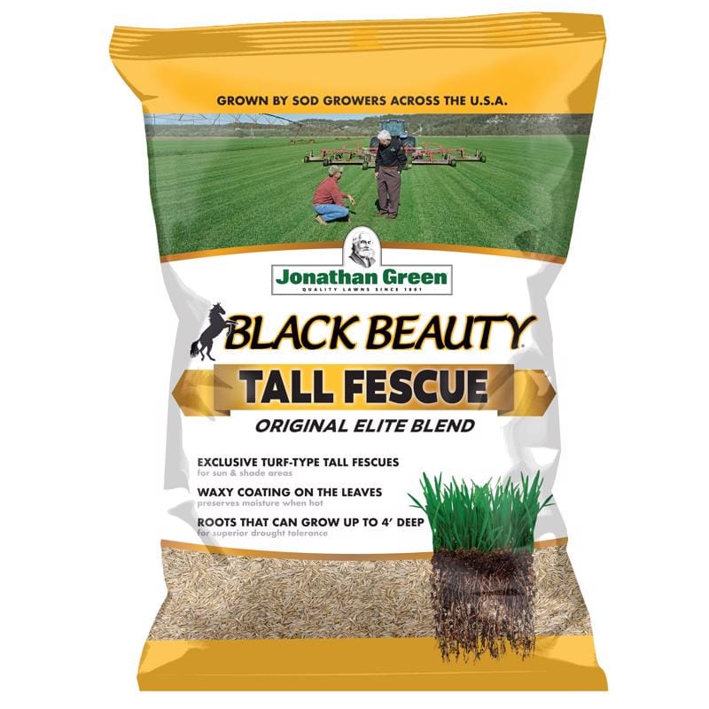 Jonathan Green 10314 Black Beauty Tall Fescue Grass Sun or Shade Grass Seed 3 lb