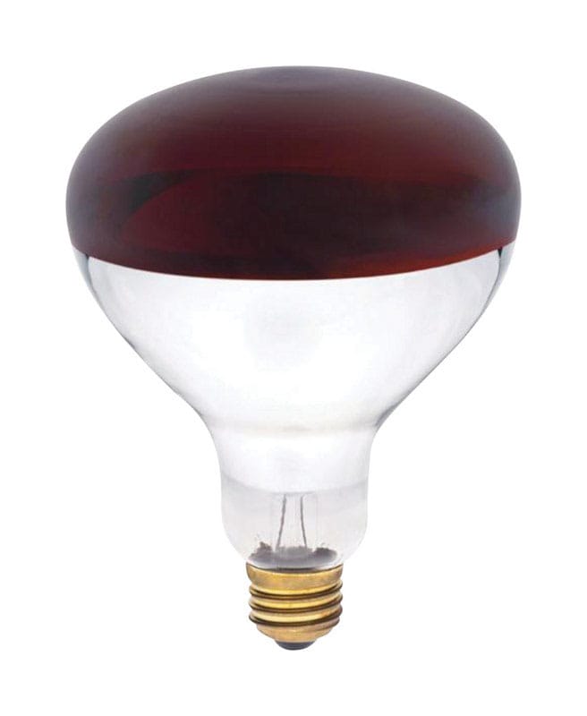 Westinghouse 0391700 250 W R40 Reflector/Heat Lamp Incandescent Bulb E26 (Medium) Red 1 pk