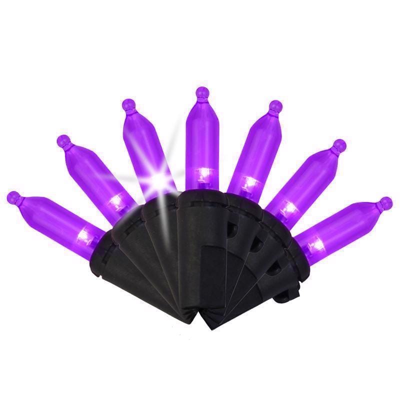 Celebrations T5100PLS3A Purple 100 ct LED Mini Halloween String Lights