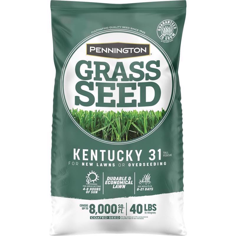 Pennington 100537715 Kentucky 31 Tall Fescue Grass Sun or Shade Grass Seed 40 lb