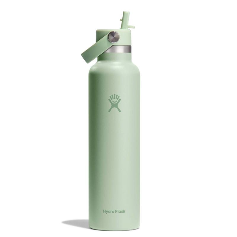 Hydroflask S24CFS338 24 fl. oz. Aloe BPA Free Insulated Bottle