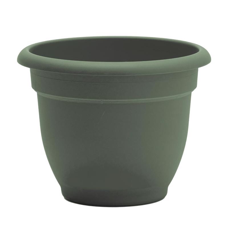 Bloem AP1041 Ariana 8.5 in. H X 11 in. W X 10 in. D Plastic Traditional Planter Basil