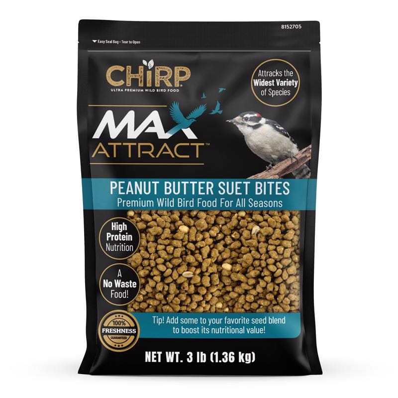 Chirp ACE0600302 Max Attract Peanut Butter Suet 3 lb