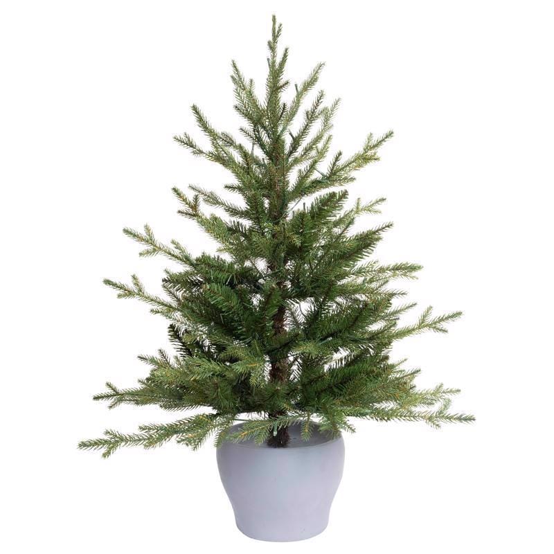 Celebrations T3FFWMA 3 ft. Full LED 50 ct Fraser Fir Potted Color Changing Porch Bush