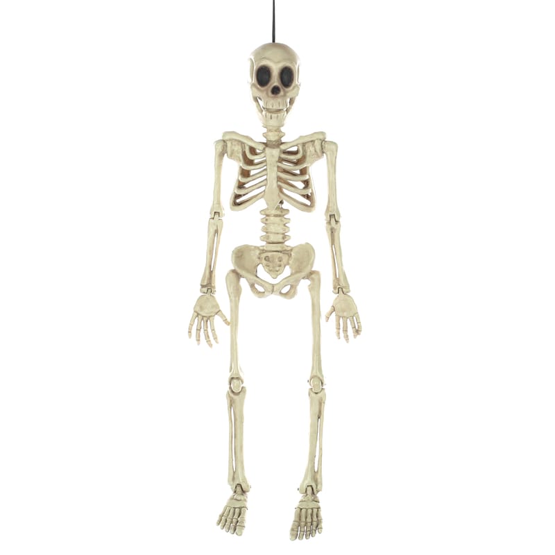 Seasons Usa W81860 Seasons 16 in. Funny Bones Skeleton Halloween Decor