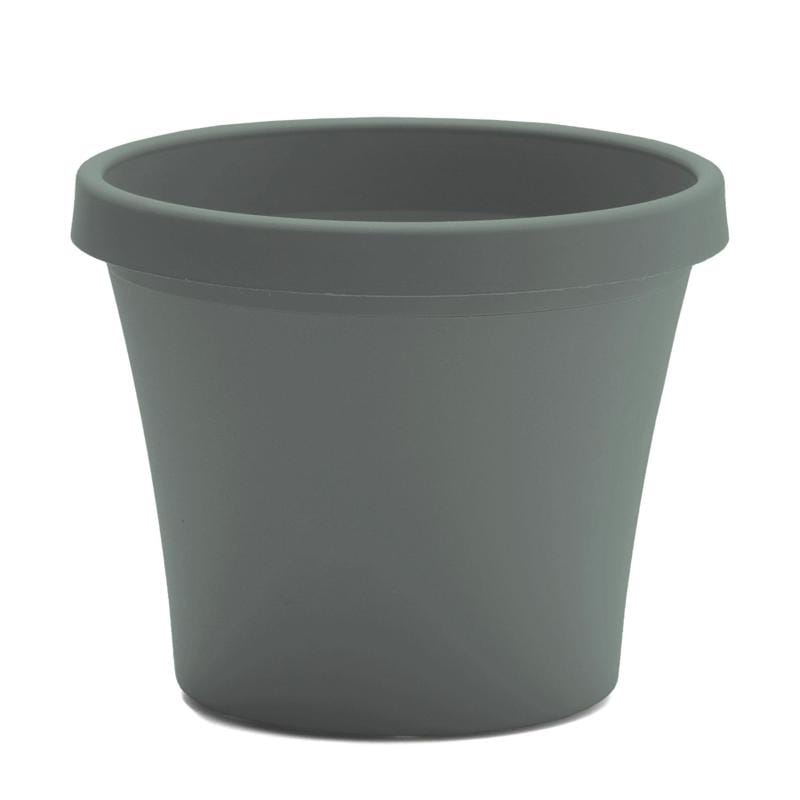 Bloem TR0441 Terra 3.75 in. H X 4.25 in. W X 3 in. D Plastic Traditional Planter Basil