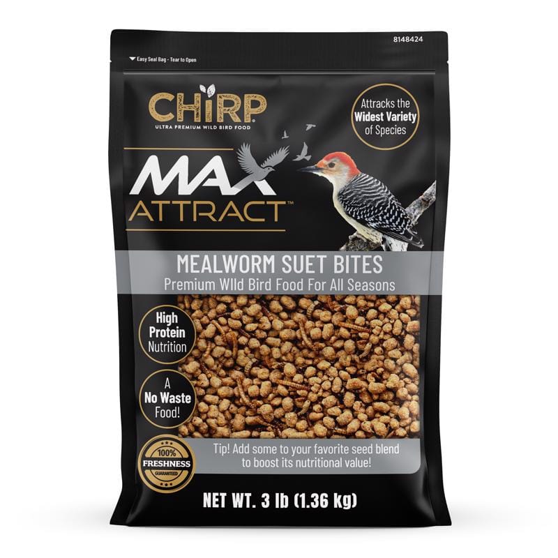 Chirp ACE0600304 Max Attract Mealworm Suet 3 lb