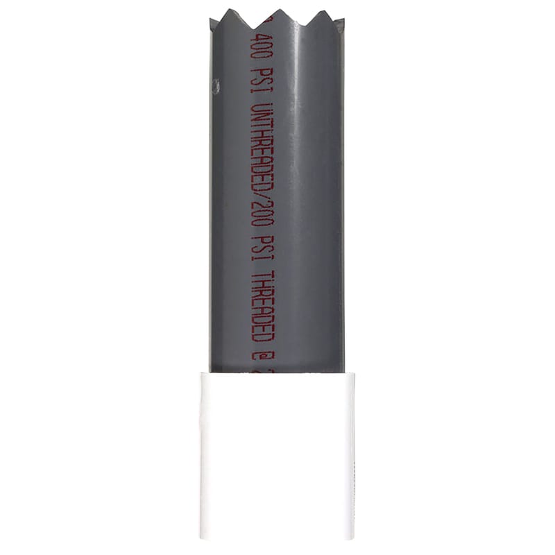 Campbell BWDV200 2 in. D X 2 in. D Plastic Threaded Check Valve