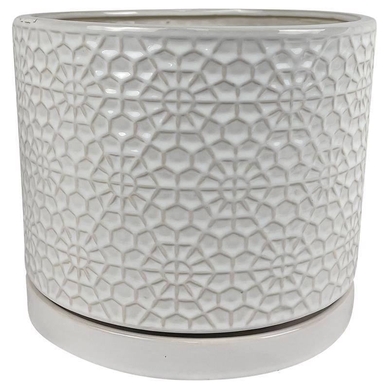 Border Concepts 533336 12 in. D Ceramic Amelia Planter White