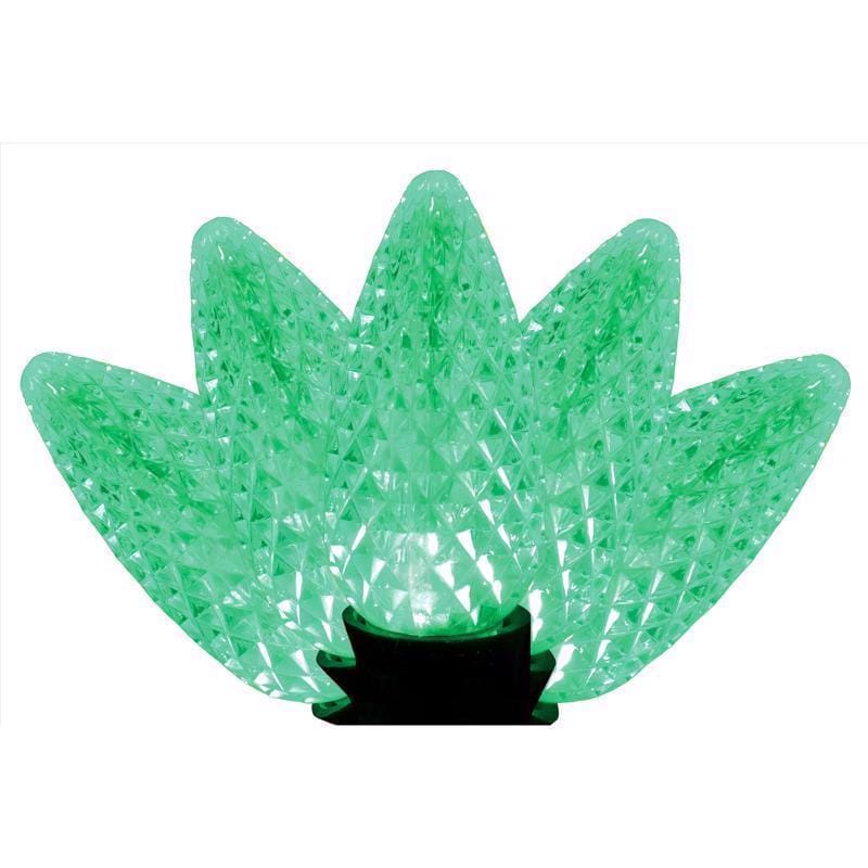 Celebrations C925FGRA Platinum LED C9 Green 25 ct String Christmas Lights 25 ft.