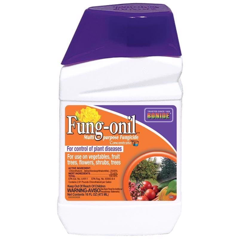 Bonide 880 Fung-onil Concentrated Liquid Fungicide 16 oz