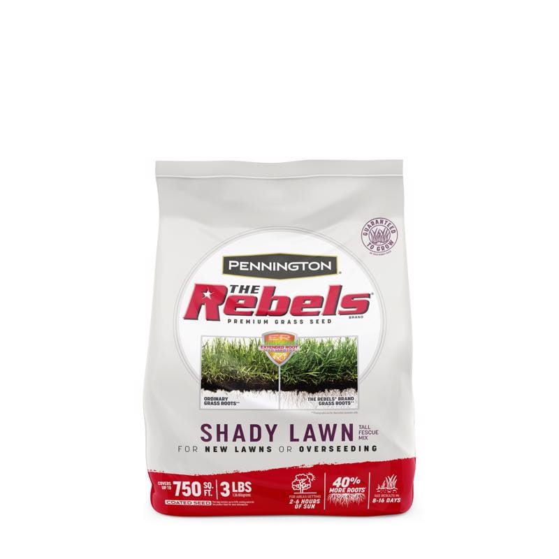 Pennington 100543725 The Rebels Tall Fescue Grass Dense Shade Grass Seed 3 lb
