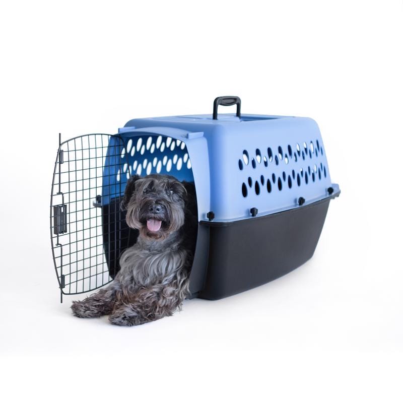 Aspen Pet 21090 Pet Porter Medium Plastic Pet Kennel Multicolored 18.6 in. H X 16.5 in. W X 26.2 in. D