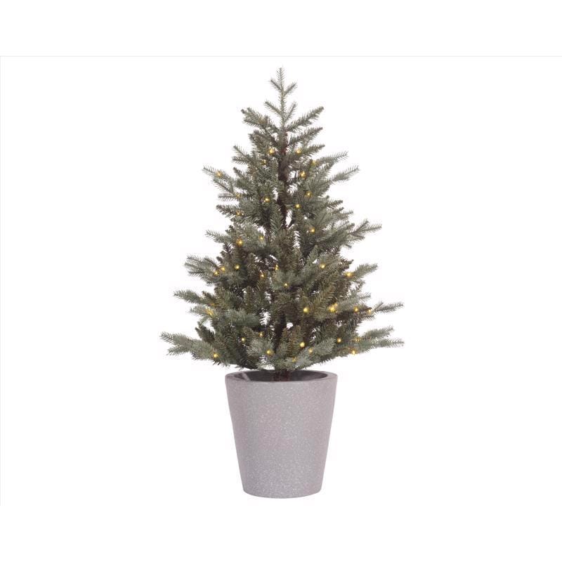 Celebrations 9922056 4 ft. Full LED 80 ct Misty Allison Pine Christmas Tree