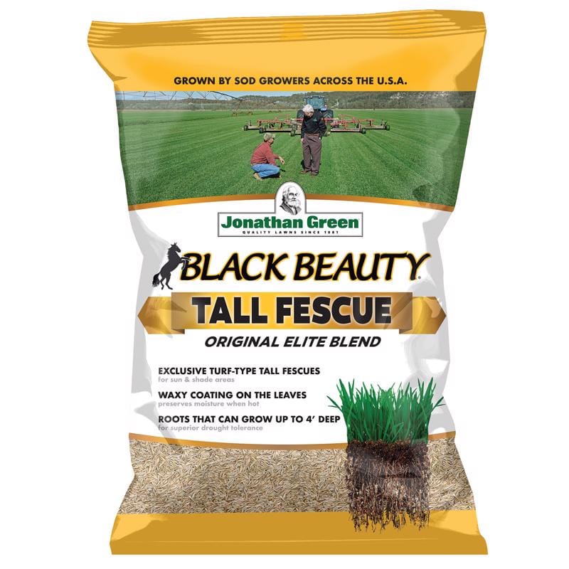 Jonathan Green 10347 Black Beauty Tall Fescue Grass Sun or Shade Grass Seed 15 lb