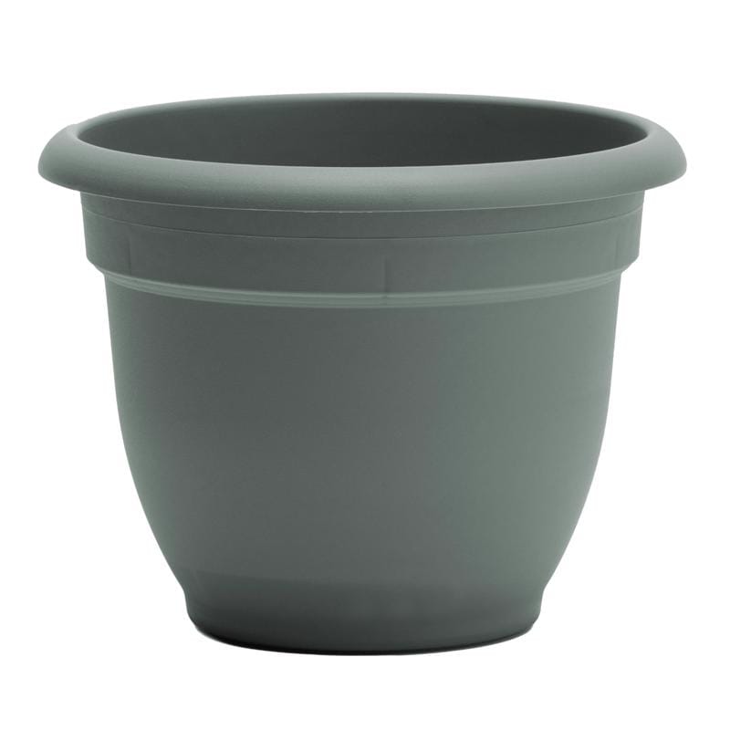 Bloem AP0641 Ariana 5.25 in. H X 6.5 in. W X 6 in. D Plastic Traditional Planter Basil