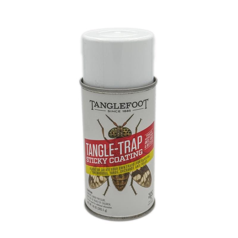 Tanglefoot TF20010 Insect Trap 10 oz