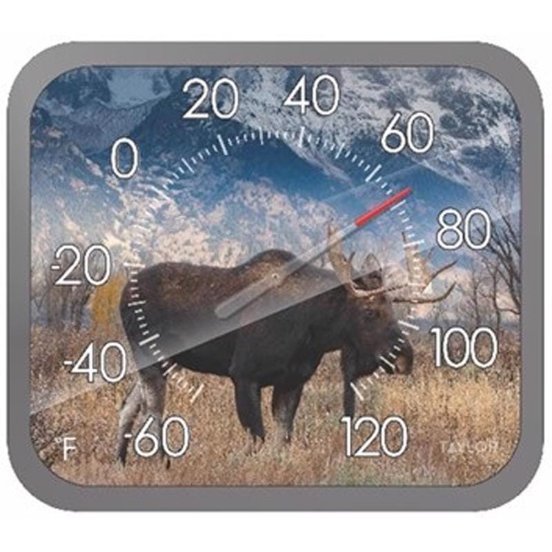 Taylor 5307064 Moose Design Dial Thermometer Plastic Multicolored 14 in.